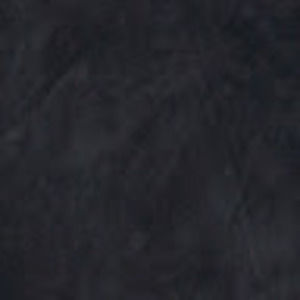 Meet your Posher, Xavier